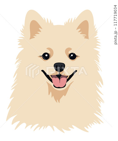 Cute spitz dog. Vector isolated illustration Cute spitz dog. Vector isolated illustration 117719034