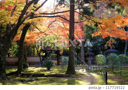 滋賀院門跡庭園の紅葉 滋賀院門跡庭園の紅葉 117719322