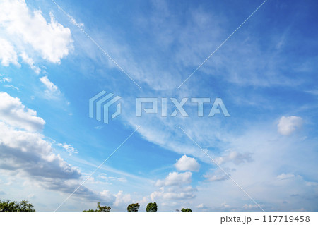 夏の雲と木立 夏の雲と木立 117719458
