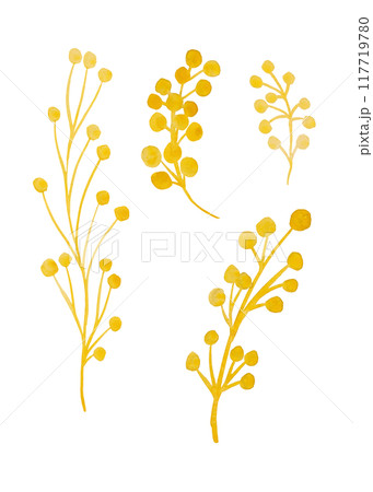 Mimosa. Herbaceous flower plant. Watercolor twigs, great design for any purpose. Decorative botanical set. Abstract silhouettes of branches. Summer nature clip art. Simple sketch drawing Mimosa. Herbaceous flower plant. Watercolor twigs, great design for any purpose. Decorative botanical set. Abstract silhouettes of branches. Summer nature clip art. Simple sketch drawing 117719780