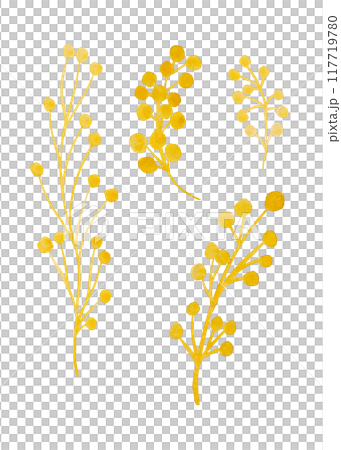 Mimosa. Herbaceous flower plant. Watercolor twigs, great design for any purpose. Decorative botanical set. Abstract silhouettes of branches. Summer nature clip art. Simple sketch drawing Mimosa. Herbaceous flower plant. Watercolor twigs, great design for any purpose. Decorative botanical set. Abstract silhouettes of branches. Summer nature clip art. Simple sketch drawing 117719780