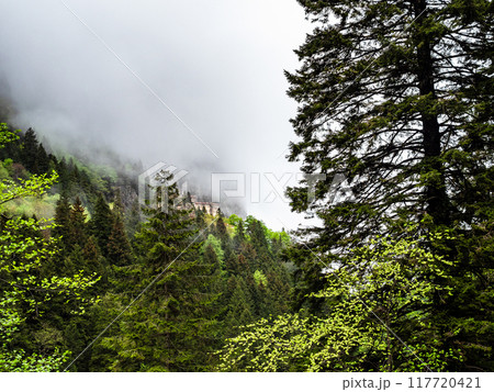 gray clouds over valley in Altindere National Park 117720421