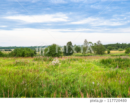 russian natural landscape near Pereslavl-Zalessky russian natural landscape near Pereslavl-Zalessky 117720480