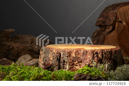 Composition with natural wood, moss and lichen for advertising eco products. Composition with natural wood, moss and lichen for advertising eco products. 117720928