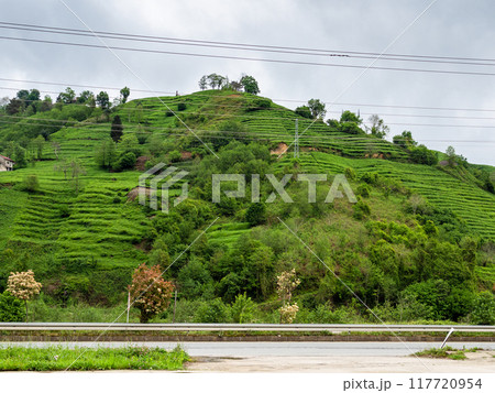 green mountains and road in Caykara district green mountains and road in Caykara district 117720954