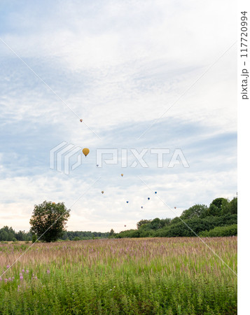 hot air balloons in evening sky above wild fiield hot air balloons in evening sky above wild fiield 117720994