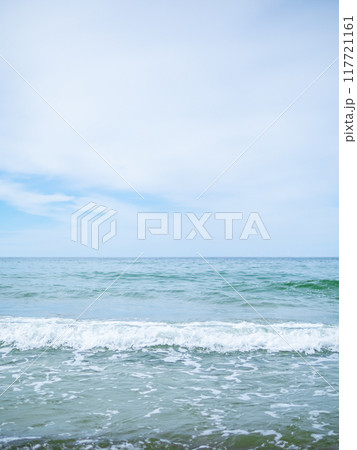 wave on Baltic Sea near beach of Curonian Spit 117721161