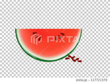 カットしたスイカのイラスト 117721370
