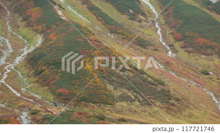 紅葉の山を登る 117721746