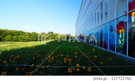 アート建物とひまわり アート建物とひまわり 117721762