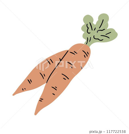Carrot on a white background 117722538