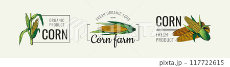 Corn logo. Farm field icon. Vintage grain seed for popcorn. Natural organic silhouette on fresh banner. Agriculture harvest. Maize ear. Cereal nutrition. Fresh product symbols vector set Corn logo. Farm field icon. Vintage grain seed for popcorn. Natural organic silhouette on fresh banner. Agriculture harvest. Maize ear. Cereal nutrition. Fresh product symbols vector set 117722615