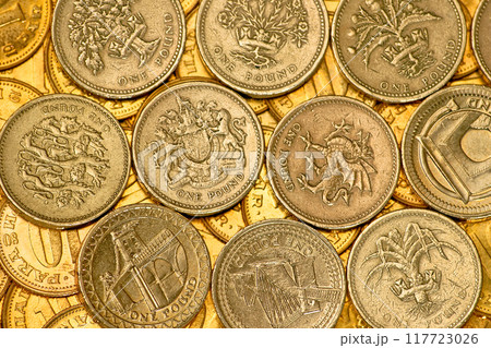One pound 117723026