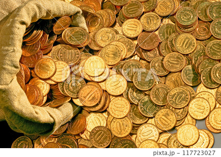Scattered coins 117723027