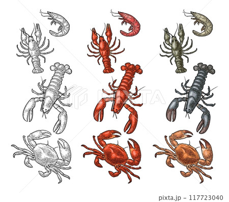 Set sea animal crustacean. Lobster, crab, crawfish, shrimp. Vector engraving Set sea animal crustacean. Lobster, crab, crawfish, shrimp. Vector engraving 117723040