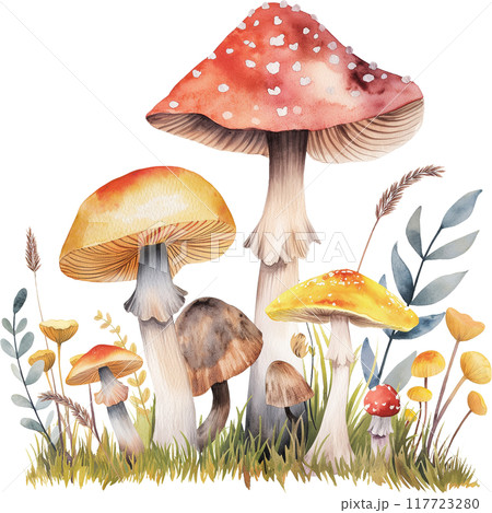 Natural composition of mushrooms and leaves.  117723280