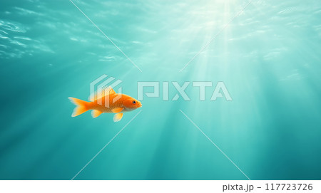 A goldfish swimming gracefully in clear water A goldfish swimming gracefully in clear water 117723726