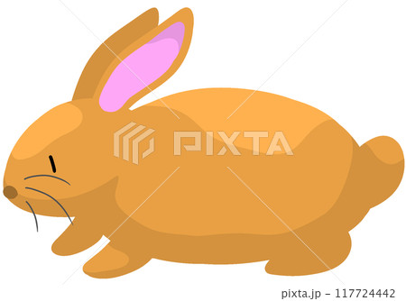 ミニレッキス ミニレッキス 117724442