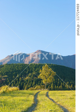 九重連山と轍(大分県竹田市久住高原) 九重連山と轍(大分県竹田市久住高原) 117724469