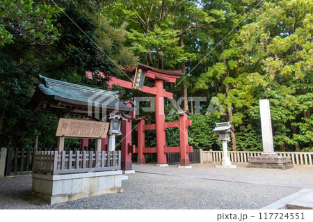 彌彦神社一の鳥居 新潟県弥彦村 彌彦神社一の鳥居 新潟県弥彦村 117724551