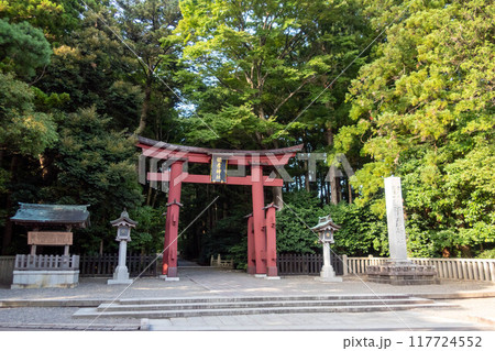 彌彦神社一の鳥居 新潟県弥彦村 彌彦神社一の鳥居 新潟県弥彦村 117724552