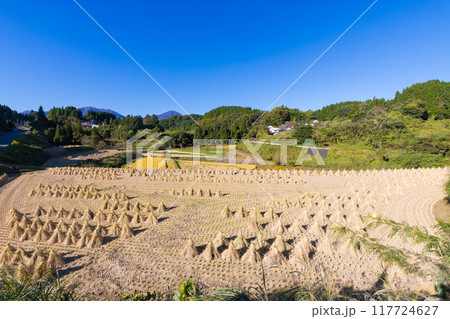 収穫後の田んぼと青空（大分県竹田市） 117724627