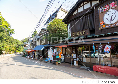 弥彦神社門前通り 117724789