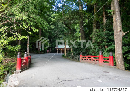 彌彦神社の御祓橋と車清祓所　新潟県弥彦村 117724857
