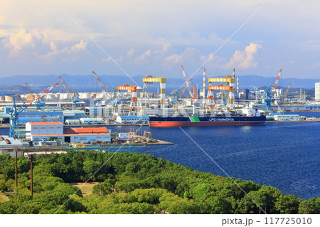 【香川県】聖通寺山から見た川崎重工業 坂出工場（番の州工業地帯） 117725010