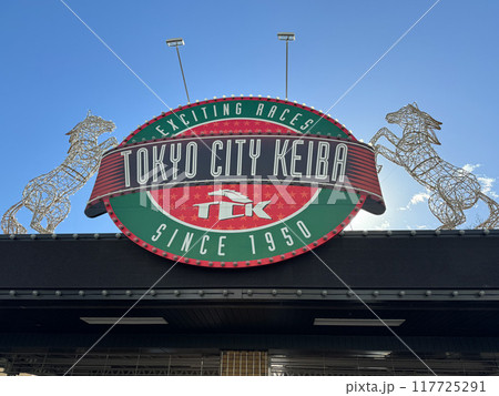 大井競馬場　東京シティ競馬 117725291