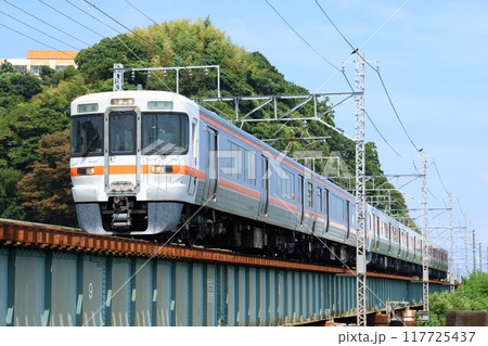 【JR東海】313系300番台＋315系3000番台（東海道線：由比〜興津・興津川橋梁） 117725437