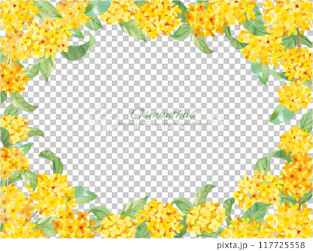 水彩畫桂花向量插畫裝飾材料 117725558