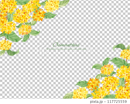 水彩畫桂花向量插畫裝飾材料 117725559