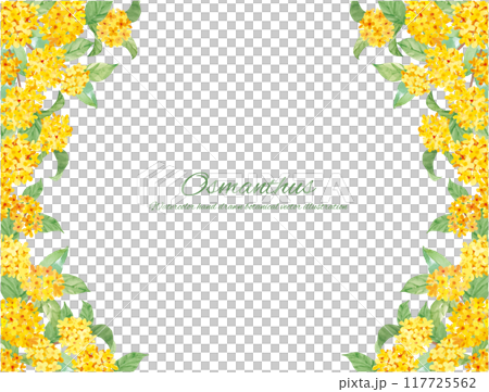 水彩畫桂花向量插畫裝飾材料 117725562