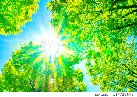 日本の横浜都市景観 猛烈な夏さ、青空…太陽光が差し込む。希望の光…明日へ、輝き、紫外線など…＝20日 117725675