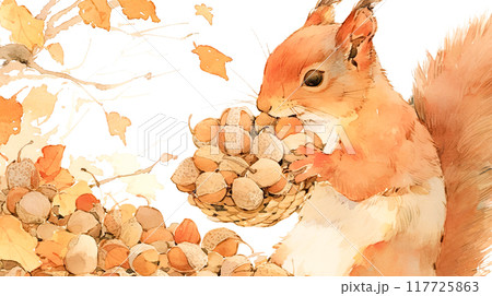 どんぐりを籠に集める可愛いリスの水彩イラストのイラスト素材