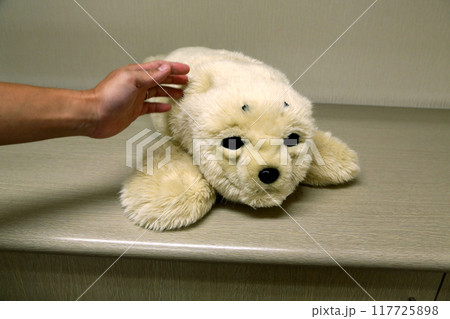 癒しロボット 117725898