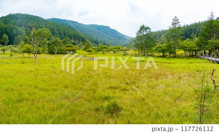 入笠山の夏　大阿原湿原の風景　長野県富士見町　日本 117726112