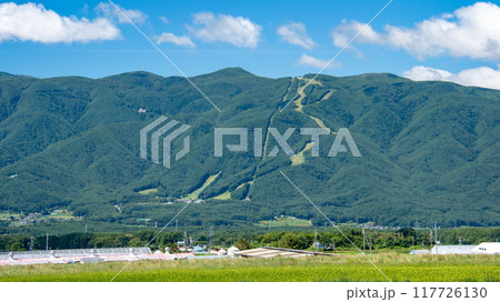富士見町の夏　富士見パノラマリゾートと入笠山　長野県富士見町　日本 117726130