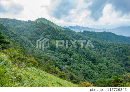 絶景の八子ヶ峰トレッキング 長野県 日本 絶景の八子ヶ峰トレッキング 長野県 日本 117726245