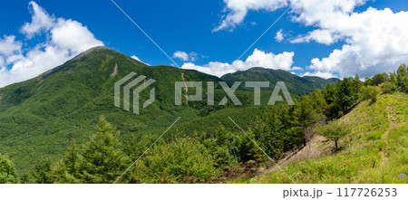 絶景の八子ヶ峰トレッキング　蓼科山と北横岳遠景　長野県　日本 117726253