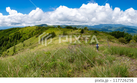 絶景の八子ヶ峰トレッキング　長野県　日本 117726256