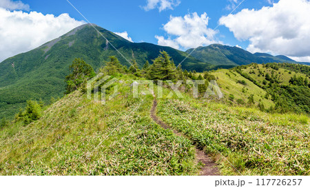 絶景の八子ヶ峰トレッキング　車山遠景　長野県　日本 117726257