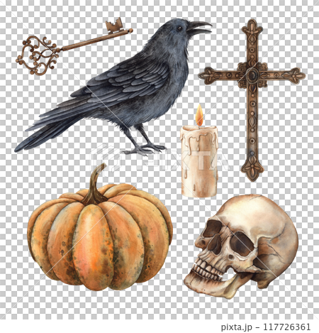 Realistic skeleton skull, black raven, cross, copper key. orange pumpkin and wax candle. Set of watercolor isolated pictures for design of Halloween cards, packaging, decoration, banners, stickers 117726361