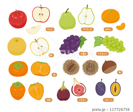 秋のフルーツイラストセット 秋のフルーツイラストセット 117726756