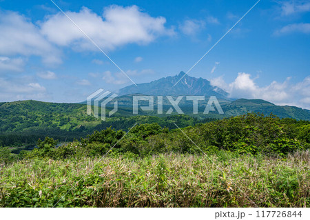 白い恋人の丘 117726844