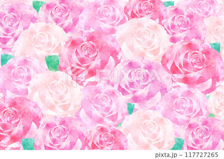 薔薇の背景 薔薇の背景 117727265