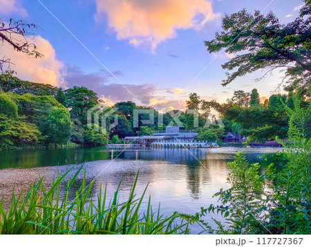 井の頭恩賜公園 井の頭恩賜公園 117727367