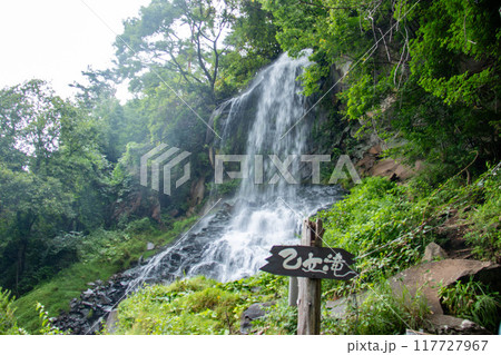 夏の横谷渓谷　乙女滝　マイナスイオンの世界　長野県茅野市　日本 117727967