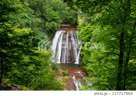 夏の横谷渓谷　王滝　マイナスイオンの世界　長野県茅野市　日本 117727968